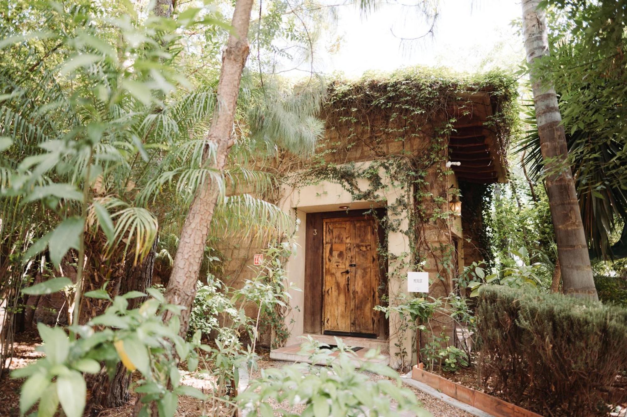 Bed and Breakfast María&Bernardo Casa - Viñedo El Coyote Exterior foto
